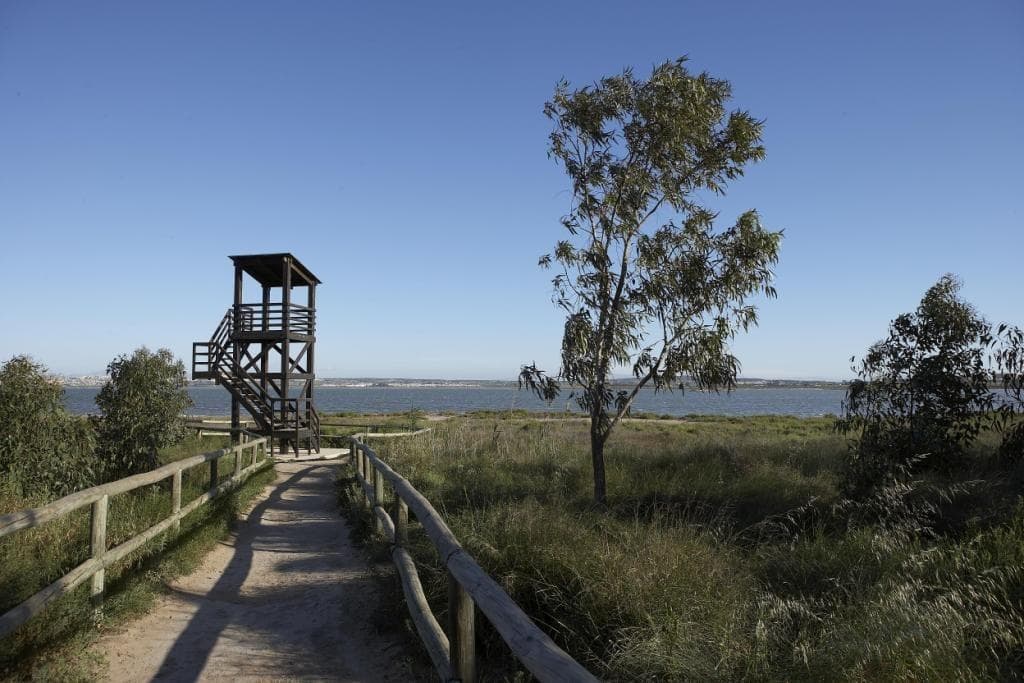 Bungalow in Torrevieja - photo 4