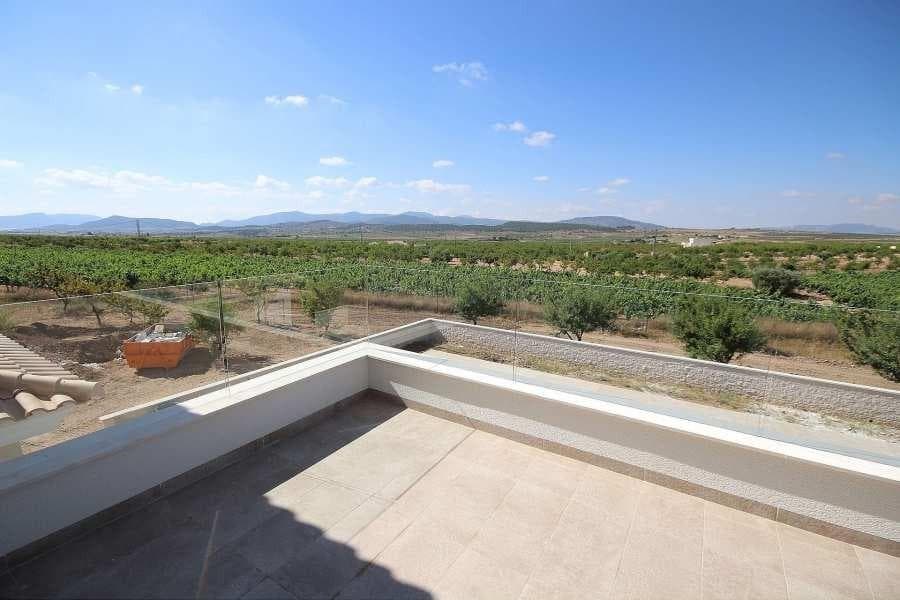 Villa in Pinoso - photo 3