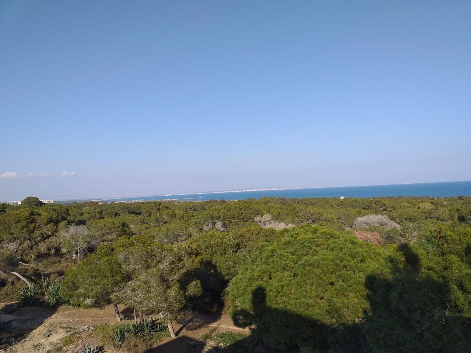 Penthouse in Guardamar del Segura - photo 4